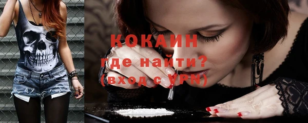 дживик Богданович