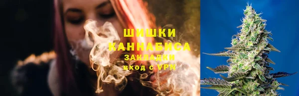 2c-b Бородино