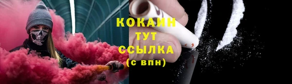 2c-b Бородино