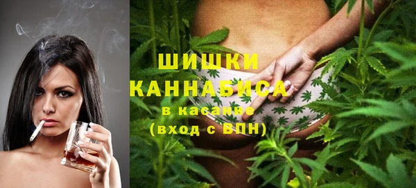 2c-b Бородино