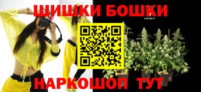 гашик Гатчина