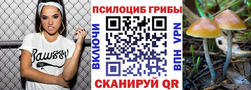 Галлюциногенные грибы мухоморы  купить  цена  Заволжье 