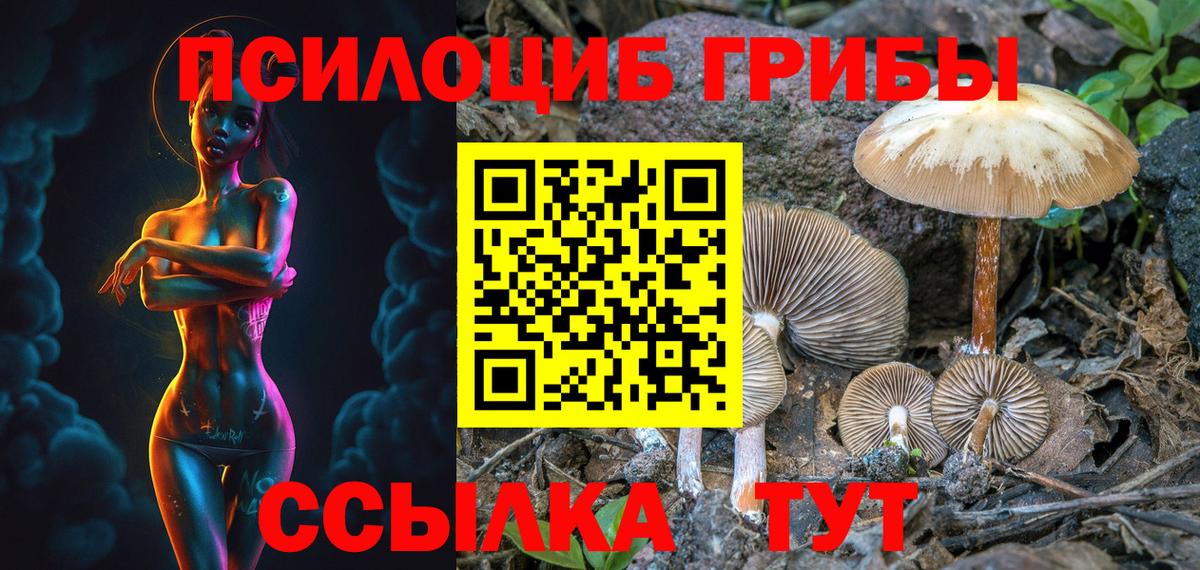 Галлюциногенные грибы прущие грибы  Псилоцибиновые грибы Magic Shrooms  купить наркотик  Заволжье  Вход с VPN 