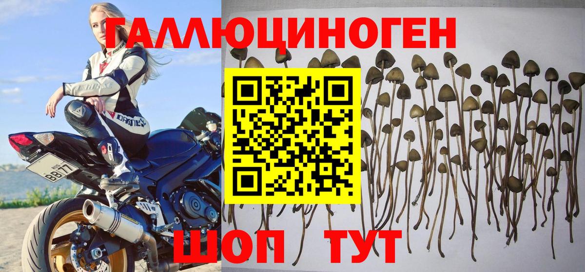 Галлюциногенные грибы MAGIC MUSHROOMS Заволжье